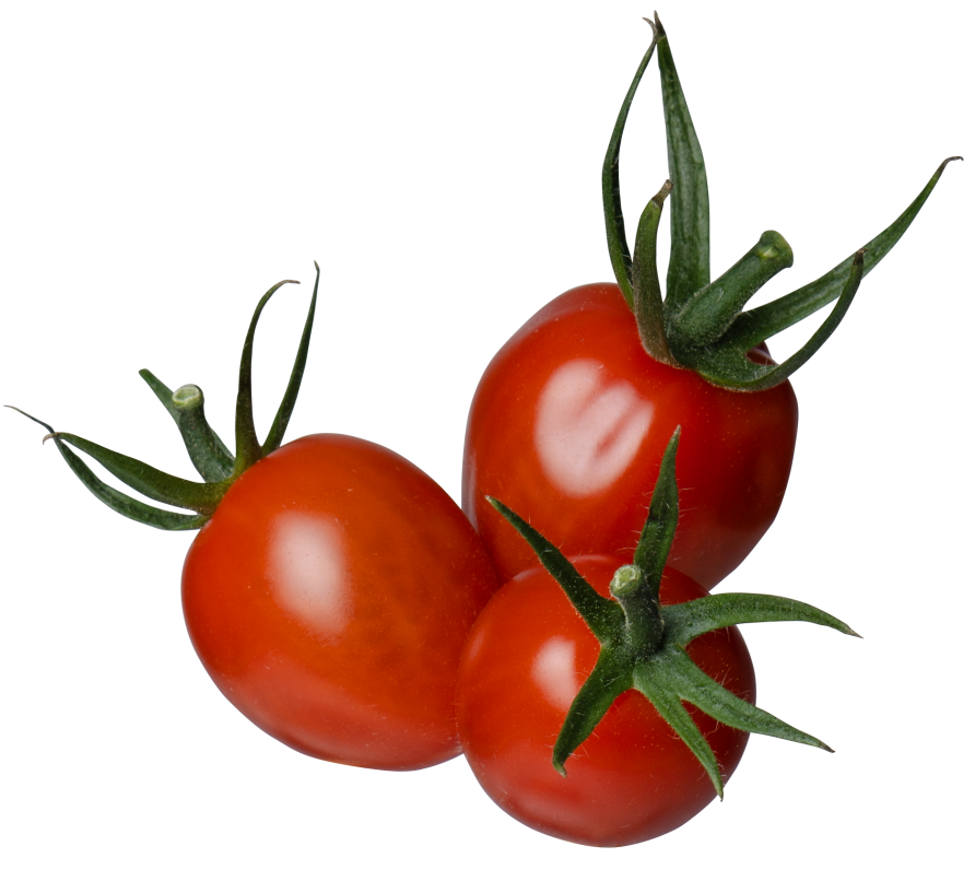 Tomates Raisins Producteur de radis, tomates et pleurotes du Québec | Serres Leciel
