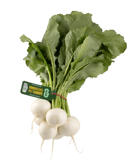 Rabiole blanc